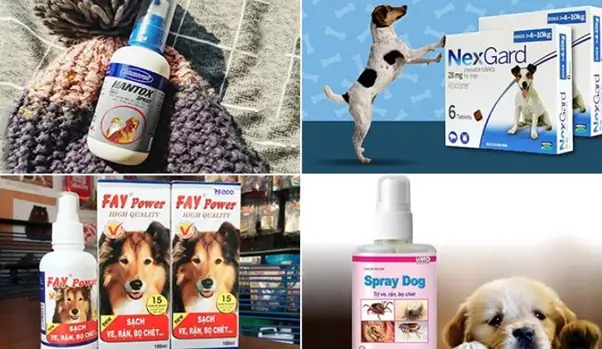 Sử Dụng Các Loại Thuốc Đặc Trị Bọ Chét Chó