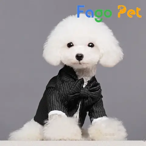 Các Mẫu Áo Cho Chó: Hướng Dẫn Chọn Quần Áo Phù Hợp Và An Toàn Cho Thú Cưng Các Mẫu Áo Cho Chó: Hướng Dẫn Chọn Quần Áo Phù Hợp Và An Toàn Cho Thú Cưng