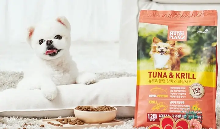 Các Món Ăn Cho Chó: Thực Đơn Dinh Dưỡng科学 Và An Toàn Cho Thú Cưng