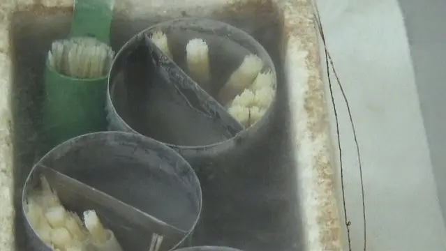 Ứng Dụng Công Nghệ Bảo Tồn Tinh Dịch Và Thụ Tinh Nhân Tạo Chó Để Nhân Giống Và Bảo Tồn Một Số Giống Chó Nghiệp Vụ Của Ngành Công An