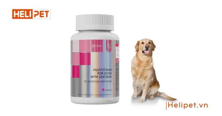 1vitamin Tổng Hợp Cho Chó Chứa Lentinan Dr.vet