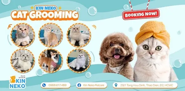Kin Neko Grooming – Nơi Cạo Lông Chó Poodle Tay Nghề Cao