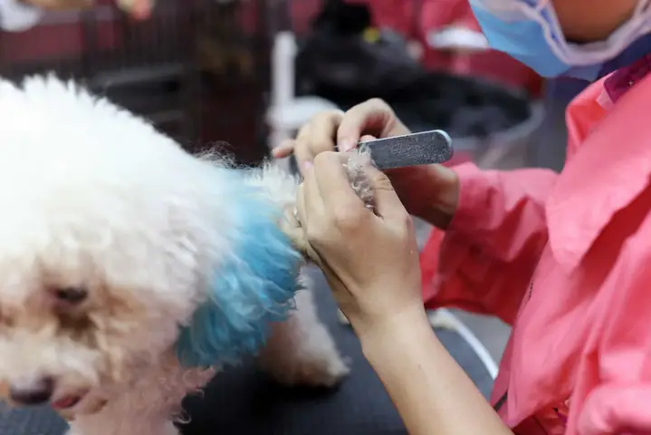 Dũa Móng Nếu Muốn Dũa Móng Nếu Muốn