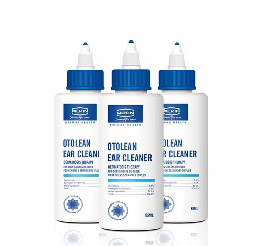 Những Chú Ý Khi Chăm Sóc Chó Khi Cắt Tai Những Chú Ý Khi Chăm Sóc Chó Khi Cắt Tai