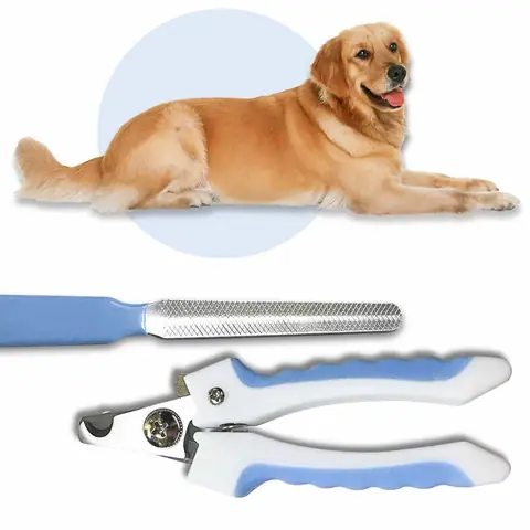 Các Dụng Cụ Cắt Móng Cần Chuẩn Bị Các Dụng Cụ Cắt Móng Cần Chuẩn Bị