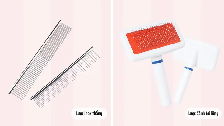 Các Bước Chải Lông Cho Chó Poodle