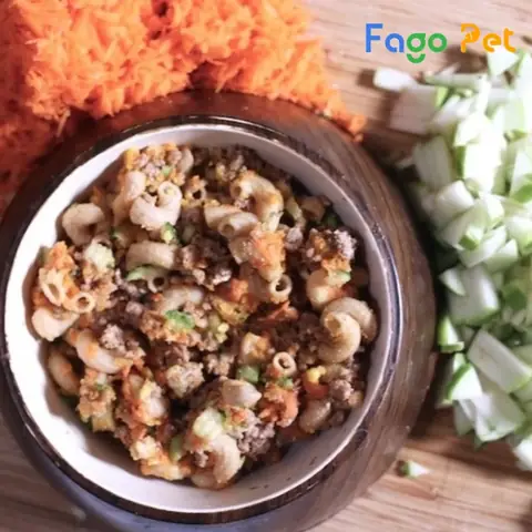 Cách Chăm Sóc Chó Border Collie Từ 3-6 Tháng Tuổi