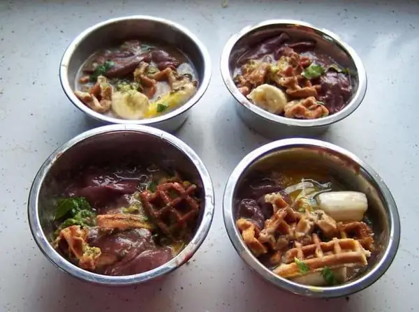 Thức Ăn Cho Chó Tự Làm (homemade)