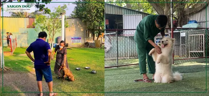 Đội Ngũ Nhân Viên Nhiệt Huyết