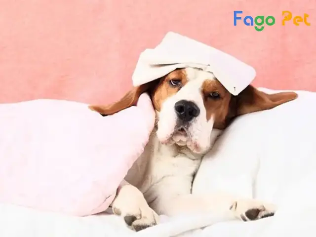 Sốt, Co Giật, Đi Đứng Khó Khăn, Loạng Choạng