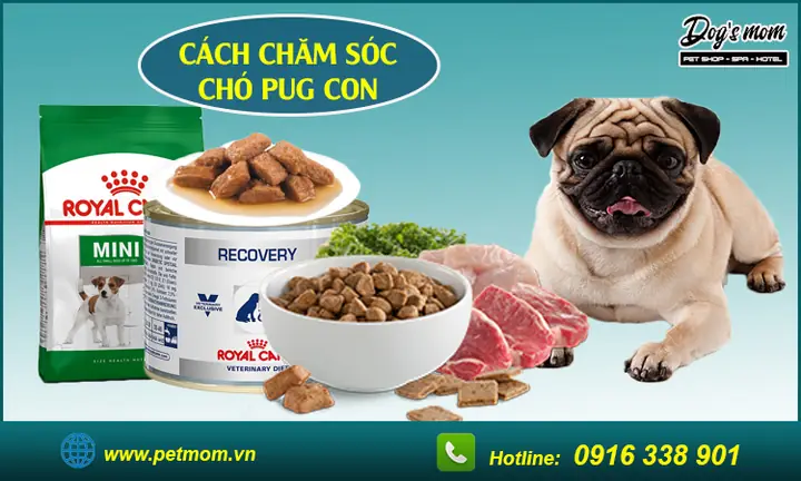 Về Chế Độ Dinh Dưỡng