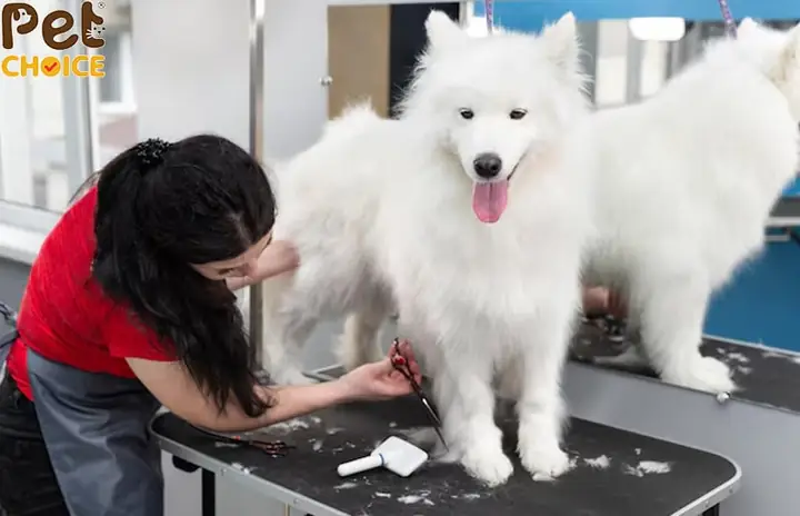 Chăm Sóc Hàng Ngày