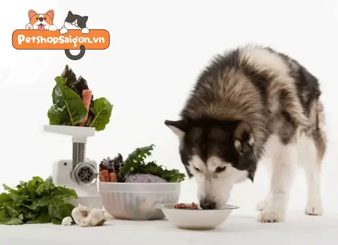 Cách Làm Thức Ăn Khô Cho Chó