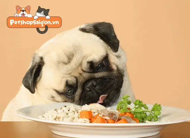 Cách Làm Thức Ăn Khô Cho Chó