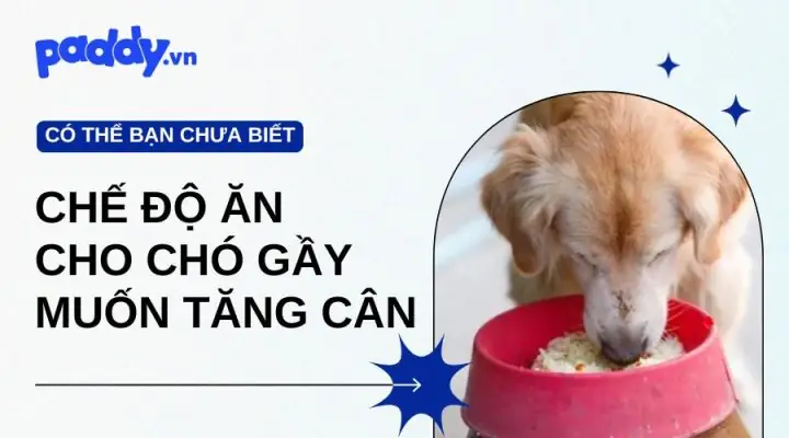 Tầm Quan Trọng Của Việc Chẩn Đoán Sớm Tầm Quan Trọng Của Việc Chẩn Đoán Sớm