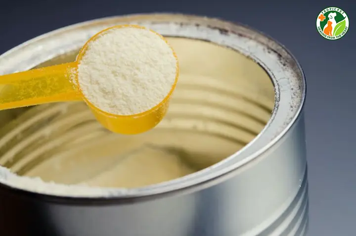 Chuẩn Bị Đồ Dùng Pha Sữa Cho Chó Con