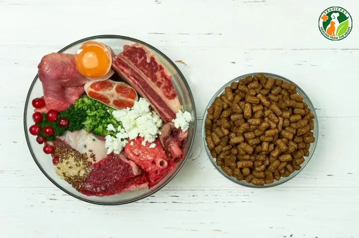 Các Loại Thịt, Cá, Trứng