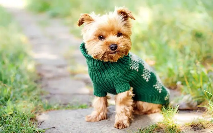 Kích Thước Không Vừa Vặn Mang Đến Nhiều Bất Tiện