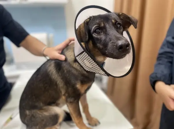 Môi Trường Sống Không Đảm Bảo