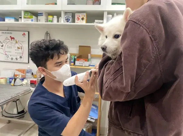 Các Dấu Hiệu Thường Gặp Khi Chó Bị Ốm