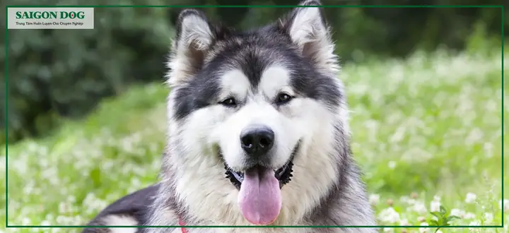 Tạo Điểm Đánh Dấu