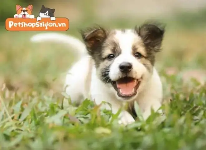 Tạo Ra Sự Khác Biệt