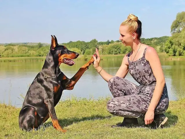 Bước 6: Thực Hành Thường Xuyên Và Dần Dần Tạo Thêm Những Tác Nhân Gây Xao Nhãng