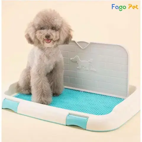 Phương Pháp Huấn Luyện Cách Dạy Chó Poodle Đứng Chi Tiết Nhất Phương Pháp Huấn Luyện Cách Dạy Chó Poodle Đứng Chi Tiết Nhất
