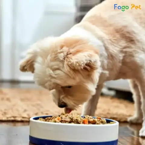 Dạy Chó Lấy Bát Xin Ăn