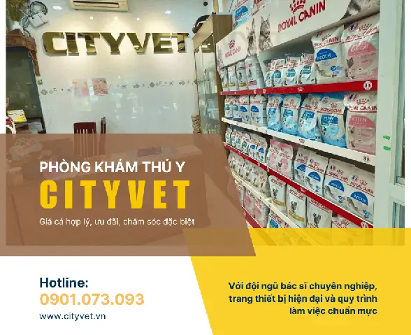 Cách Phòng Ngừa Ve Chó, Bọ Chét Hiệu Quả