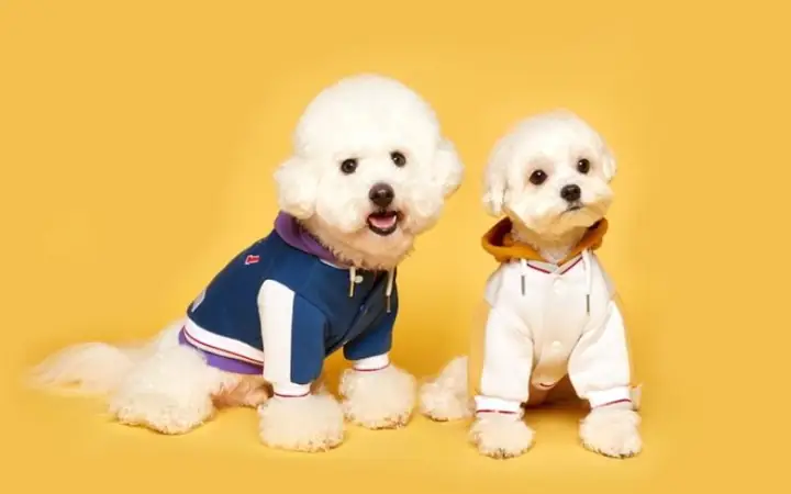 Cách Đo Size Áo Cho Chó