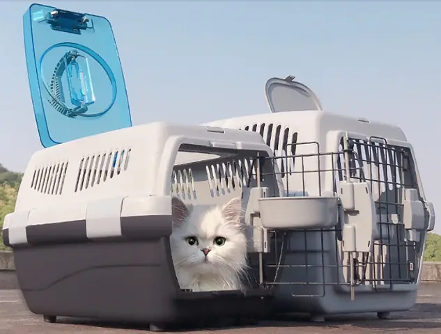 Tìm Hiểu Các Cách Vận Chuyển Chó Mèo Đi Xa Trong Nước Tìm Hiểu Các Cách Vận Chuyển Chó Mèo Đi Xa Trong Nước