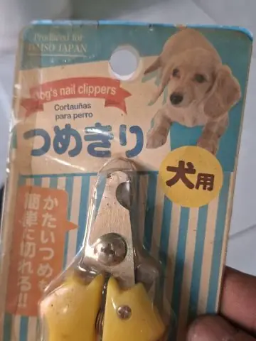 Cách Dùng Kìm Cắt Móng Cho Chó: Hướng Dẫn Chi Tiết A-z An Toàn Tuyệt Đối Cách Dùng Kìm Cắt Móng Cho Chó: Hướng Dẫn Chi Tiết A-z An Toàn Tuyệt Đối