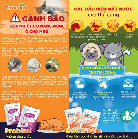 Cách Giải Nhiệt Cho Chó