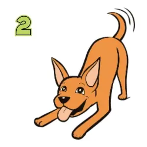 Khi Chó Hạnh Phúc