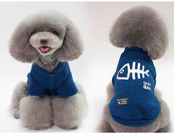 3, Mặc Áo Cho Cún