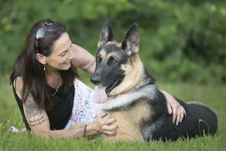 Những Lưu Ý Khi Huấn Luyện Chó Becgie Đức Những Lưu Ý Khi Huấn Luyện Chó Becgie Đức