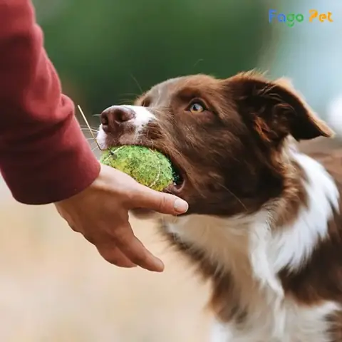 Tùy Biến Hiệu Lệnh Tùy Biến Hiệu Lệnh