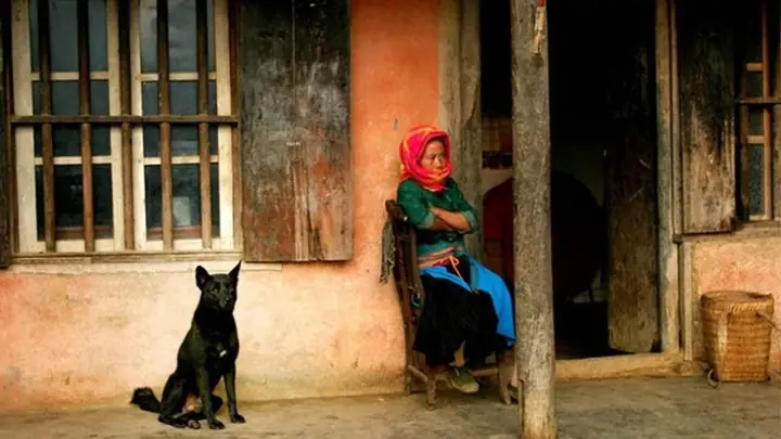 Huấn Luyện Chó Giữ Nhà Khi Khách Không Mang Theo Vũ Khí