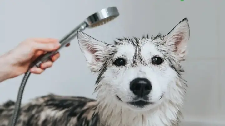 Kiểm Tra Sức Khỏe Định Kỳ Và Kịp Thời Phát Hiện Bệnh Lý Kiểm Tra Sức Khỏe Định Kỳ Và Kịp Thời Phát Hiện Bệnh Lý