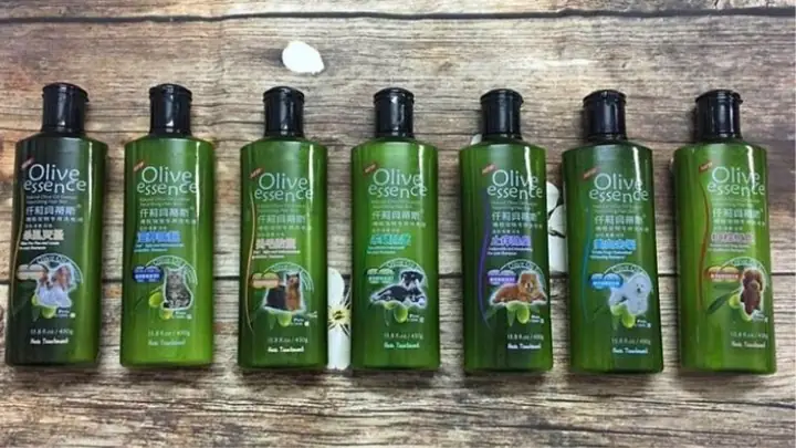 1. Sữa Tắm Cho Chó Alaska – Olive Essence 1. Sữa Tắm Cho Chó Alaska – Olive Essence