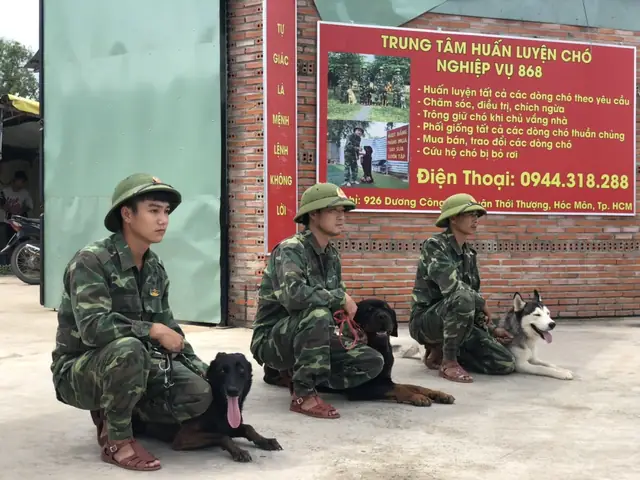 Cách Kiểm Tra Thần Kinh Chó Malinois