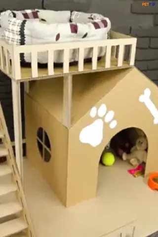 Cách Làm Chỗ Ngủ Cho Chó Bằng Thùng Giấy