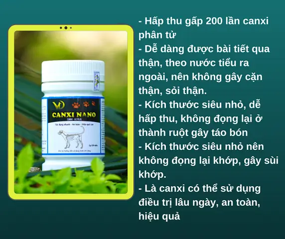 Cách Làm Cho Tai Chó Dựng