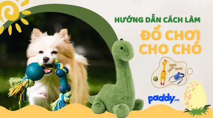 Cách Làm Chuồng Chó Bằng Vải