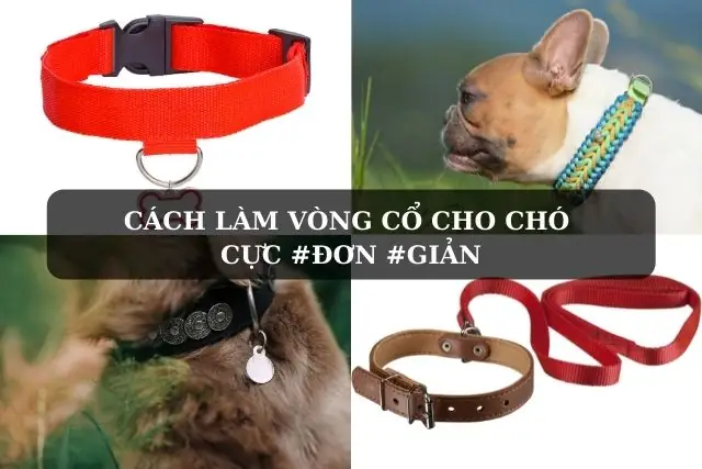 Tự Làm Dây Buộc Cổ Chó: Hướng Dẫn An Toàn Và Đúng Kỹ Thuật