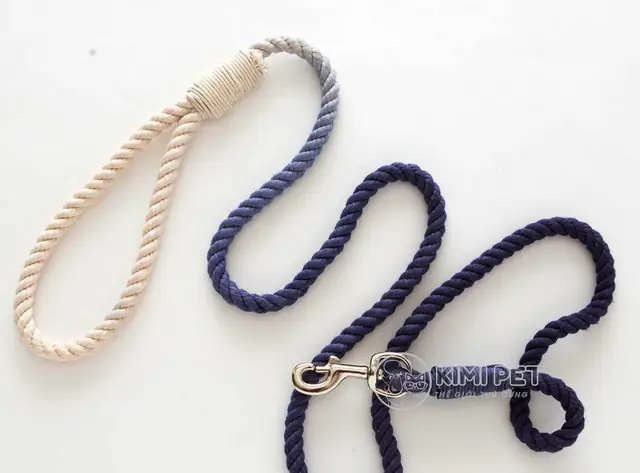 Tại Sao Cần Đeo Dây Dắt Chó?