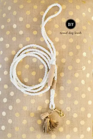 Các Mẫu Dây Đeo Cho Chó Đẹp Mới Nhất Các Mẫu Dây Đeo Cho Chó Đẹp Mới Nhất