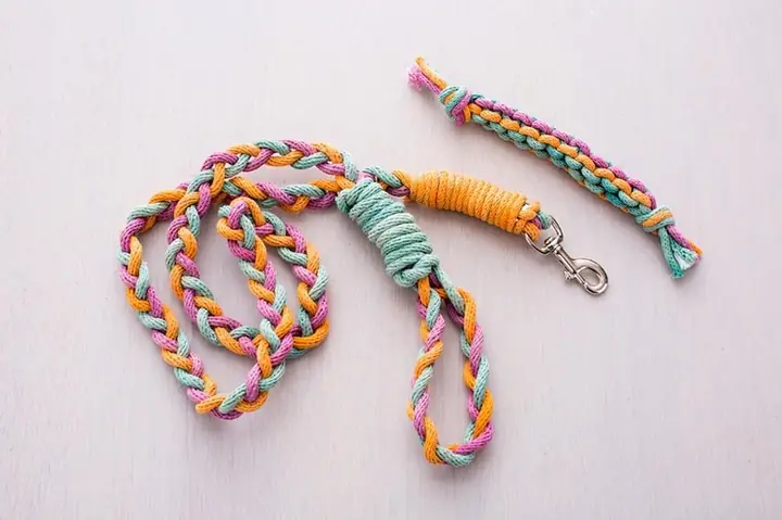 Các Mẫu Dây Đeo Cho Chó Đẹp Mới Nhất Các Mẫu Dây Đeo Cho Chó Đẹp Mới Nhất