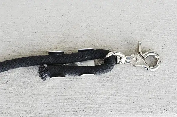 Cách Làm Dây Xích Chó Nhộm Màu Hiện Đại Cách Làm Dây Xích Chó Nhộm Màu Hiện Đại